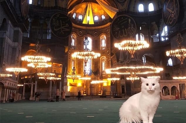Hagia Sophia cat Kılıç